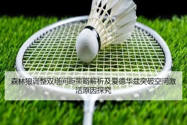 森林狼调整双塔间距策略解析及爱德华兹突破空间激活原因探究